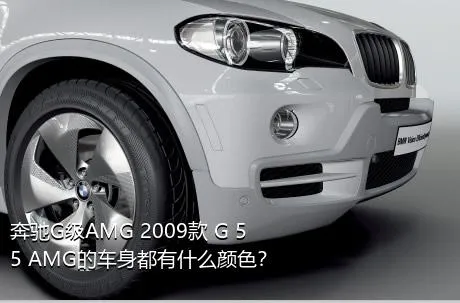 奔驰G级AMG 2009款 G 55 AMG的车身都有什么颜色？