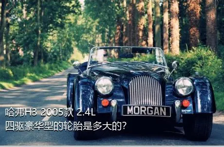 哈弗H3 2005款 2.4L 四驱豪华型的轮胎是多大的？