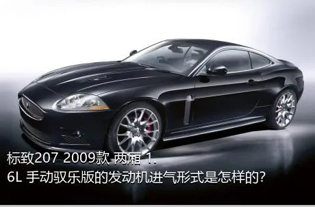 标致207 2009款 两厢 1.6L 手动驭乐版的发动机进气形式是怎样的？