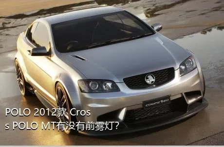 POLO 2012款 Cross POLO MT有没有前雾灯？