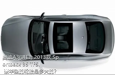 奥迪A3(进口) 2013款 Sportback 35 TFSI 豪华型的轮胎是多大的？