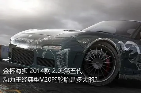 金杯海狮 2014款 2.0L第五代动力王经典型V20的轮胎是多大的？