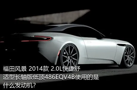 福田风景 2014款 2.0L快捷舒适型长轴版低顶486EQV4B使用的是什么发动机？