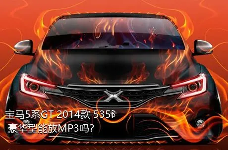宝马5系GT 2014款 535i 豪华型能放MP3吗？
