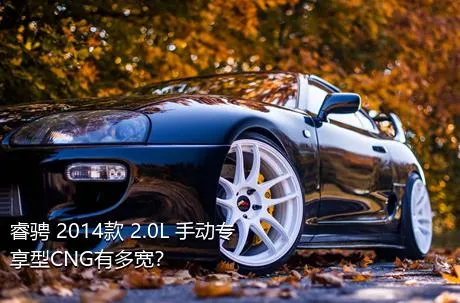 睿骋 2014款 2.0L 手动专享型CNG有多宽？