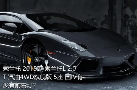 索兰托 2015款 索兰托L 2.0T 汽油4WD旗舰版 5座 国IV有没有前雾灯？