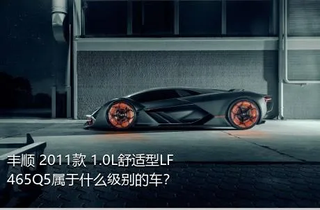 丰顺 2011款 1.0L舒适型LF465Q5属于什么级别的车？