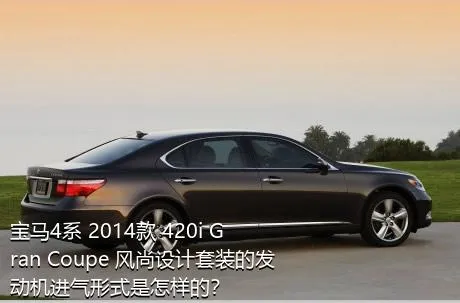 宝马4系 2014款 420i Gran Coupe 风尚设计套装的发动机进气形式是怎样的？