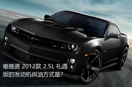 唯雅诺 2012款 2.5L 礼遇版的发动机供油方式是？