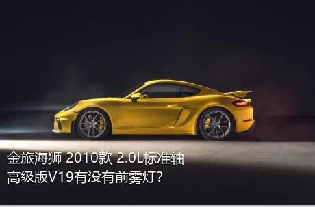 金旅海狮 2010款 2.0L标准轴高级版V19有没有前雾灯？