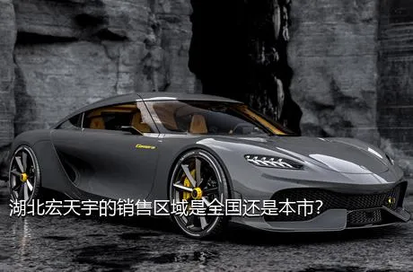 湖北宏天宇的销售区域是全国还是本市？