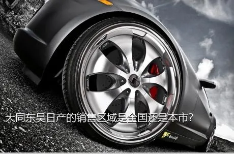 大同东昊日产的销售区域是全国还是本市？