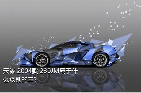 天籁 2004款 230JM属于什么级别的车？