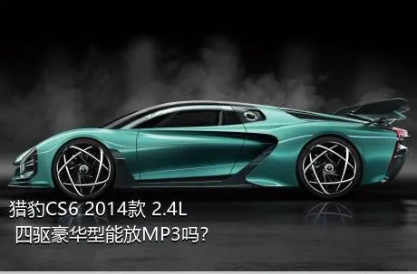 猎豹CS6 2014款 2.4L 四驱豪华型能放MP3吗？
