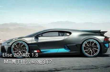 Elise 2004款 1.8 MT属于什么级别的车？