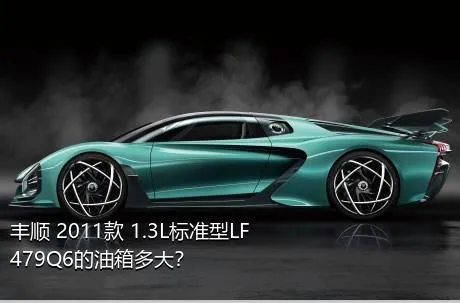 丰顺 2011款 1.3L标准型LF479Q6的油箱多大？