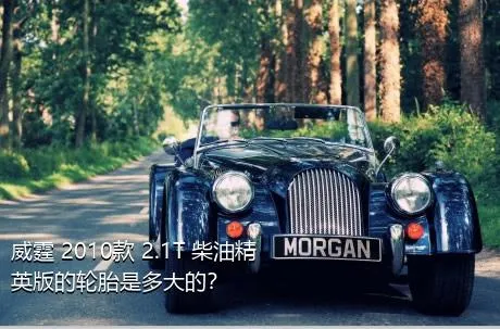 威霆 2010款 2.1T 柴油精英版的轮胎是多大的？