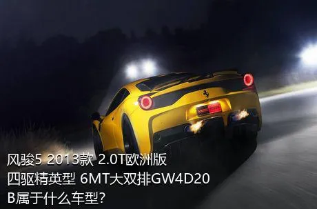 风骏5 2013款 2.0T欧洲版 四驱精英型 6MT大双排GW4D20B属于什么车型？