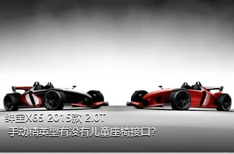 绅宝X65 2015款 2.0T 手动精英型有没有儿童座椅接口？