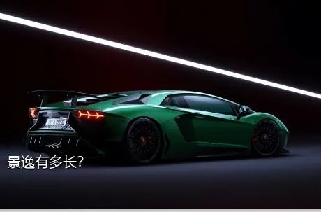 景逸有多长？