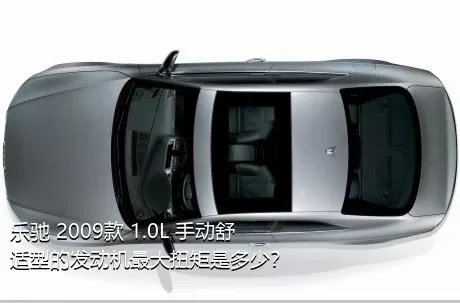 乐驰 2009款 1.0L 手动舒适型的发动机最大扭矩是多少？
