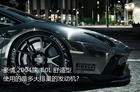 豪情 2004款 1.0L 舒适型使用的是多大排量的发动机？