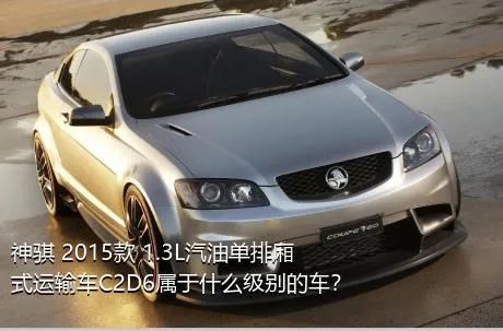神骐 2015款 1.3L汽油单排厢式运输车C2D6属于什么级别的车？