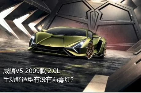 威麟V5 2009款 2.0L 手动舒适型有没有前雾灯？