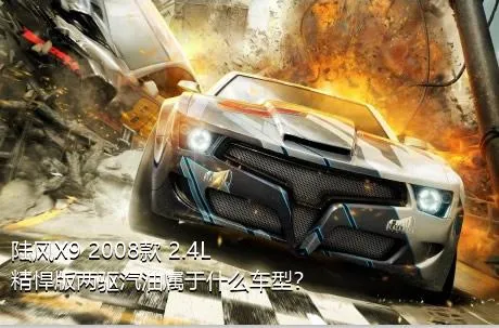 陆风X9 2008款 2.4L 精悍版两驱汽油属于什么车型？