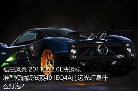 福田风景 2011款 2.0L快运标准型短轴版低顶491EQ4A的远光灯是什么灯泡？