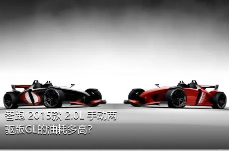 智跑 2015款 2.0L 手动两驱版GL的油耗多高？