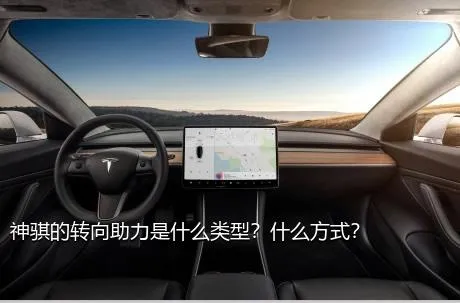 神骐的转向助力是什么类型？什么方式？