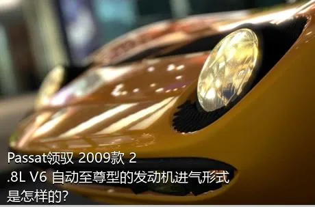 Passat领驭 2009款 2.8L V6 自动至尊型的发动机进气形式是怎样的？