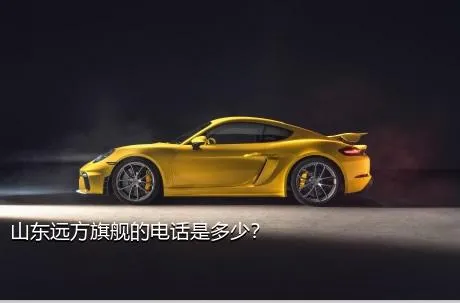 山东远方旗舰的电话是多少？