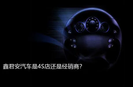 鑫君安汽车是4S店还是经销商？