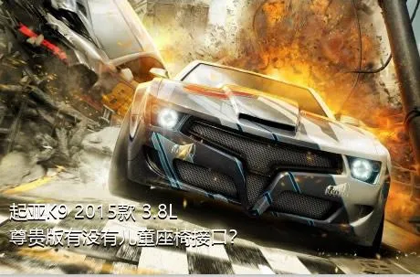 起亚K9 2015款 3.8L 尊贵版有没有儿童座椅接口？