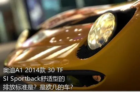 奥迪A1 2014款 30 TFSI Sportback舒适型的排放标准是？是欧几的车？