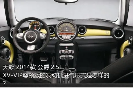 天籁 2014款 公爵 2.5L XV-VIP尊领版的发动机进气形式是怎样的？