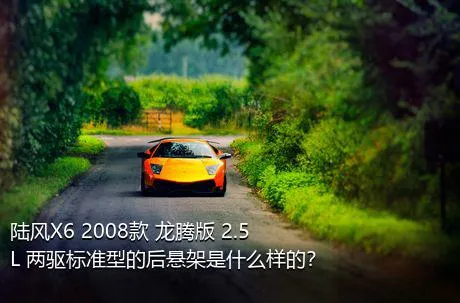 陆风X6 2008款 龙腾版 2.5L 两驱标准型的后悬架是什么样的？