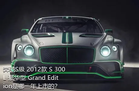 奔驰S级 2012款 S 300 L 豪华型 Grand Edition是哪一年上市的？