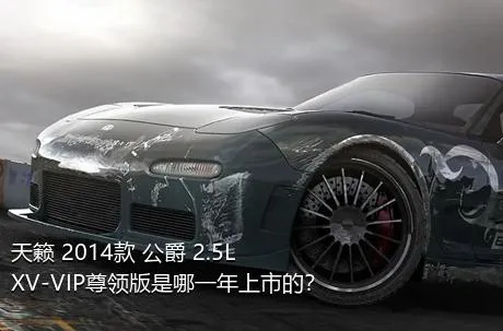 天籁 2014款 公爵 2.5L XV-VIP尊领版是哪一年上市的？