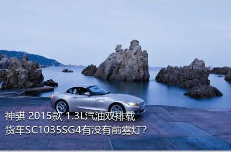 神骐 2015款 1.3L汽油双排载货车SC1035SG4有没有前雾灯？
