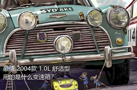 豪情 2004款 1.0L 舒适型用的是什么变速箱？