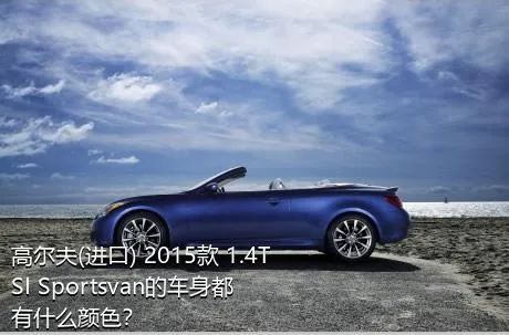高尔夫(进口) 2015款 1.4TSI Sportsvan的车身都有什么颜色？