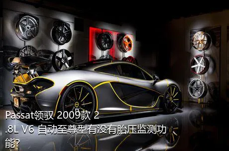 Passat领驭 2009款 2.8L V6 自动至尊型有没有胎压监测功能？