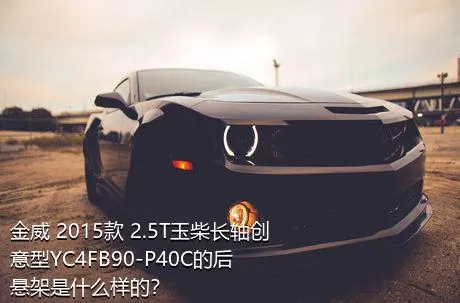 金威 2015款 2.5T玉柴长轴创意型YC4FB90-P40C的后悬架是什么样的？