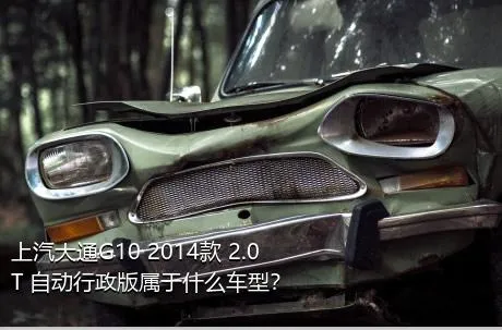 上汽大通G10 2014款 2.0T 自动行政版属于什么车型？