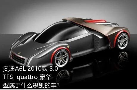 奥迪A6L 2010款 3.0 TFSI quattro 豪华型属于什么级别的车？