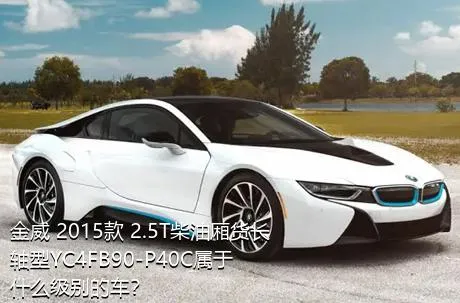 金威 2015款 2.5T柴油厢货长轴型YC4FB90-P40C属于什么级别的车？