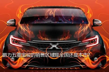 鹏力五菱宝骏的销售区域是全国还是本市？